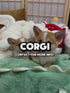 Corgi - 3272 (F)